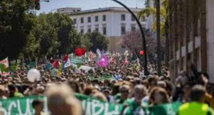 MareaVerdeCadiz's tweet photo. MAREA VERDE EN APOYO A LA HUELGA INDEFINIDA DE PTIS
Desde la comunidad educativa más  combativa de la escuela pública, Marea Verde Cádiz,queremos expresar nuestro absoluto respaldo a PTIS(Técnicos en Integración Social)en huelga indefinida desde hace diez días en toda Andalucía👇🏼 https://t.co/PQWYA1BmOh