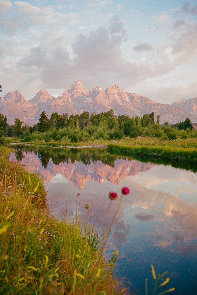 jakob_lr's tweet photo. The Grand Tetons on Portra 400 🎞️ https://t.co/j8XERLrrj5