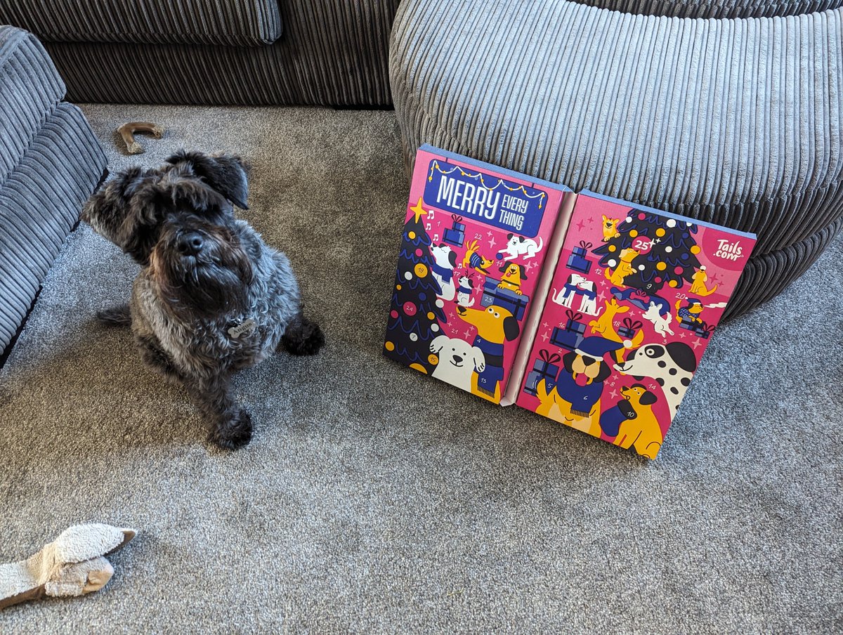 SchnauzerAngus's tweet photo. Aw yisss pals, it's advent calendar day 🎄🎅 https://t.co/MGUeDsQacK