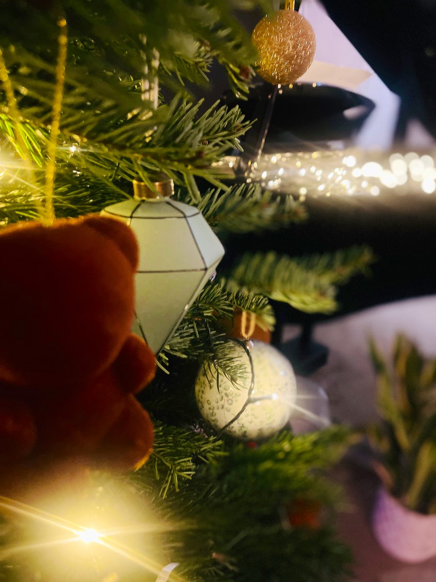 epicureetmoi's tweet image. Toucher, tâter , agencer les boules pour le ravissement de tous et de toutes .. #espritDeNoel