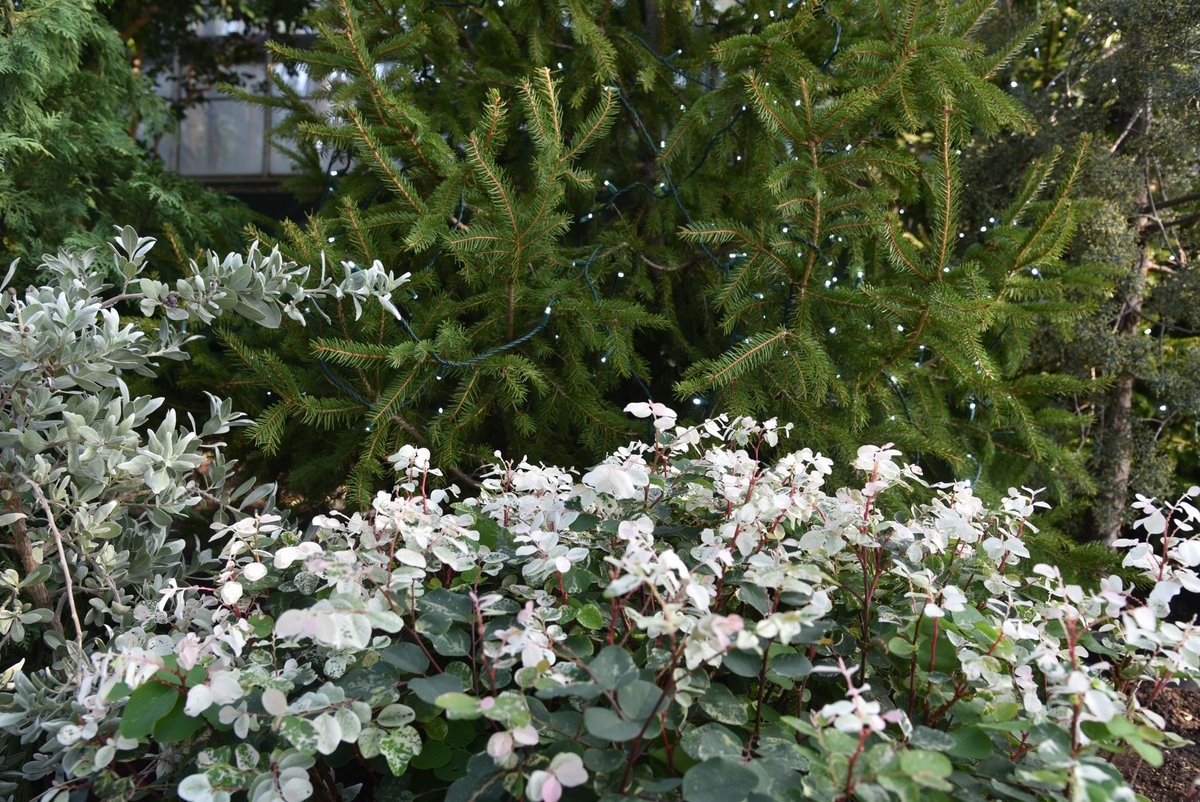 Chicago ParkDistrict tweet media