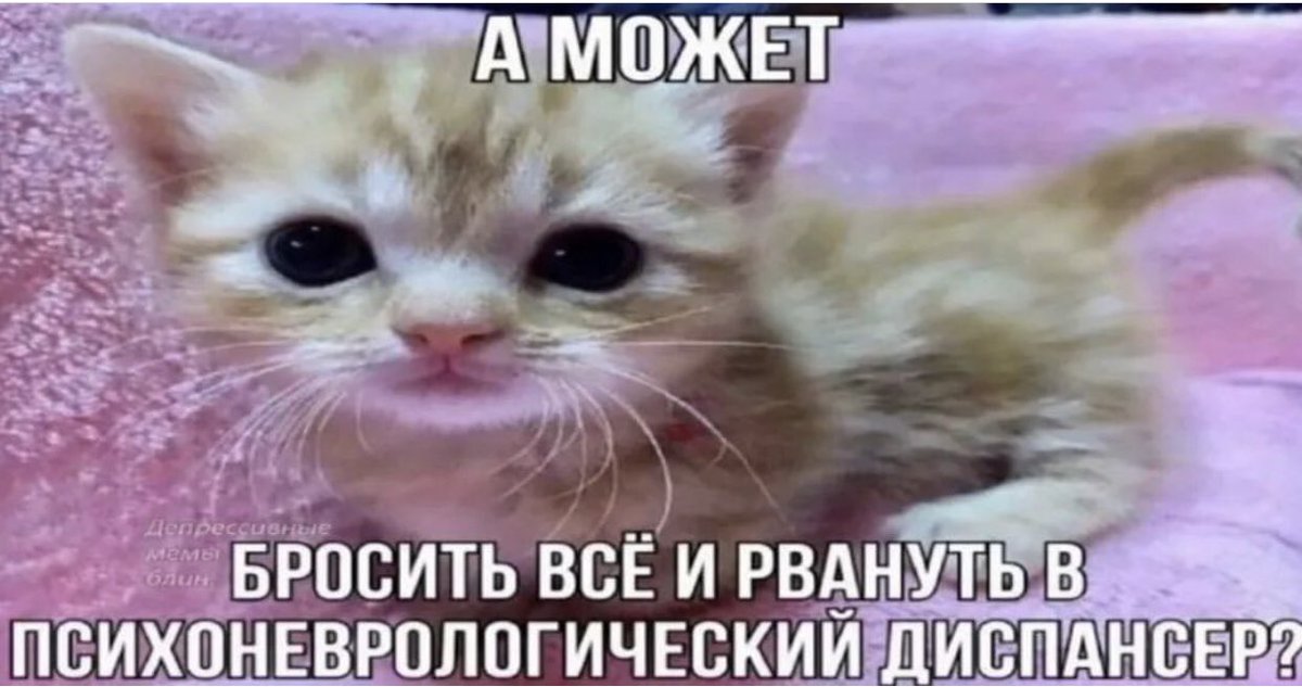 _kerush's tweet photo. https://t.co/eFXB8ZaQF1