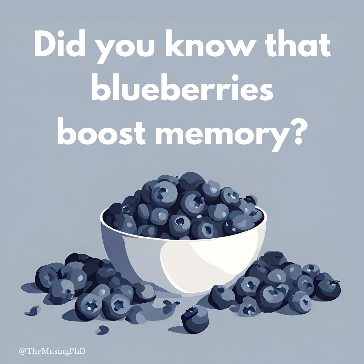 PvdNes's tweet image. #FunFactFriday
Consuming blueberries has been linked to improved memory and cognitive function. The antioxidants in these tiny berries may help delay brain aging and enhance neural signaling. 

doi:10.1021/jf9029332

#TheMusingPhD #CognitiveAging