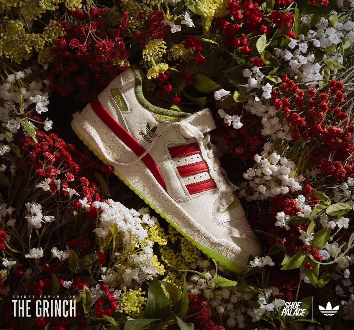 shoe palace adidas forum