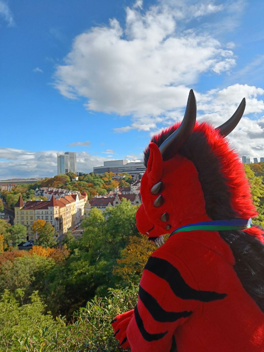 athanaskhay's tweet photo. Nice view in autumn Prague.

🪡@WMW66Costumes
📷@FurCPhoto

#FursuitFriday https://t.co/G9d7J0yCVh