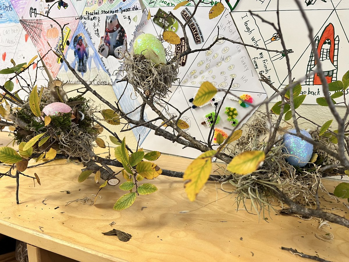 Katherine Pentz (@mrsfrizzle22) on Twitter photo Super excited about this lesson! We expanded our ideas by creating a nest and elaborating with details & items they learned from reading “The Nest Wren Built” <a href="/rsonenshine/">Randi Sonenshine</a> <a href="/NISDDriggers/">Rita Kay Driggers ES</a> <a href="/NISDGTAA/">NISD GT & AA</a> <a href="/NISD/">Northside ISD</a> Super excited about this lesson! We expanded our ideas by creating a nest and elaborating with details & items they learned from reading “The Nest Wren Built” <a href="/rsonenshine/">Randi Sonenshine</a> <a href="/NISDDriggers/">Rita Kay Driggers ES</a> <a href="/NISDGTAA/">NISD GT & AA</a> <a href="/NISD/">Northside ISD</a>
