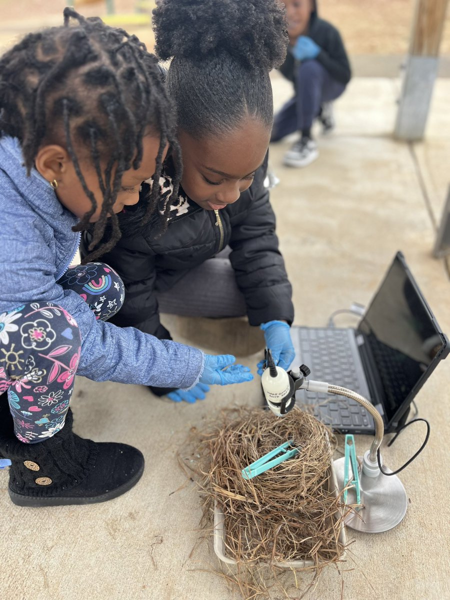 Kindergarten and 1st graders cleaned out bluebird nesting boxes and examined the nests they discovered under the microscope <a href="/MECME_School/">MillbrookElem</a>