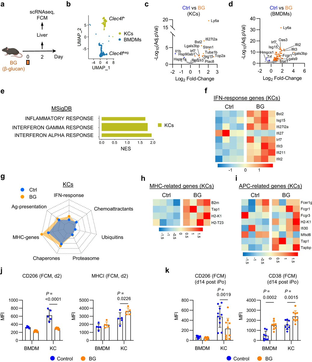 PennMedCSO's tweet image. Kupffer cells prevent pancreatic ductal adenocarcinoma metastasis to the liver in mice ft. Stacy Thomas, @mmwatt02, @shaantichoibose, Heather Coho, Christopher Cassella, Meredith Stone, Dhruv Patel, Kelly Markowitz, Devora Delman &amp;amp; @LabBeatty tinyurl.com/mrytyyyz