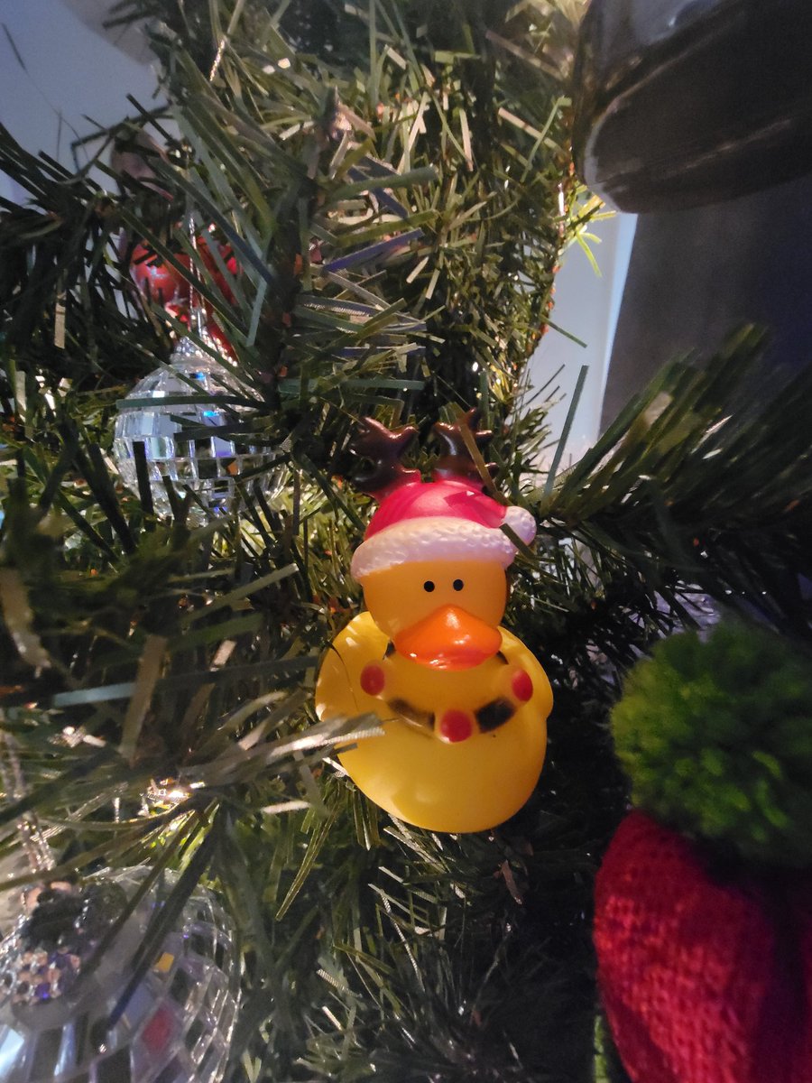 davidsducks's tweet photo. Santa Duck in my tree 🐥🎅
#santaduck #santaducks #santaclaus #fatherchristmas #davidsducks https://t.co/AmGdLweyPZ