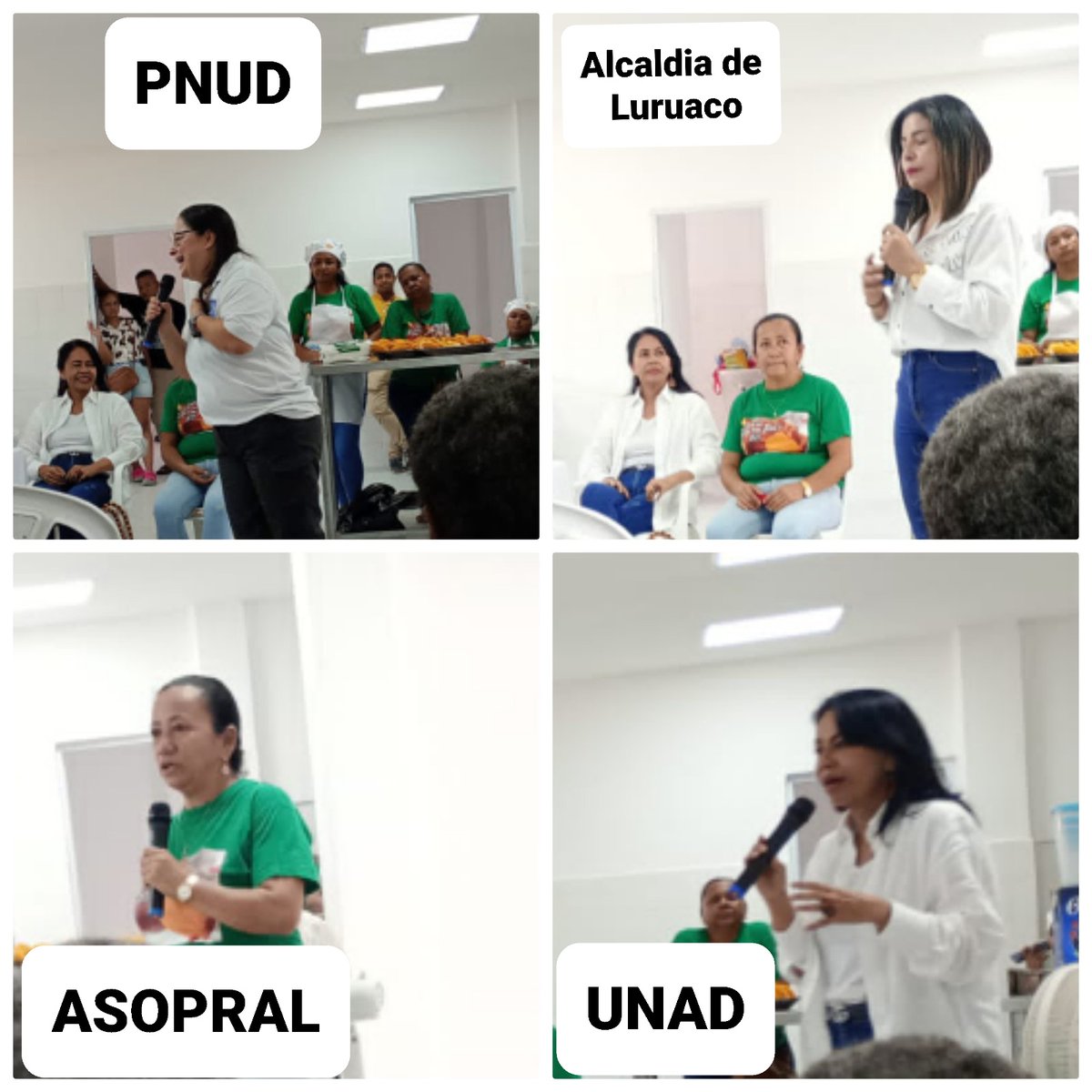 avila_bibi's tweet photo. @ElOIRdelaRegion @pnud @UniversidadUNAD @asopral2 @PnudColombia @jesusvasquez56 Los semilleros Pitanza @ECBTIUnadCaribe  y Ecoadco @ecacenzcar_  contribuyendo a cumplir con la misión institucional @UniversidadUNAD https://t.co/SK6nGC5Bez