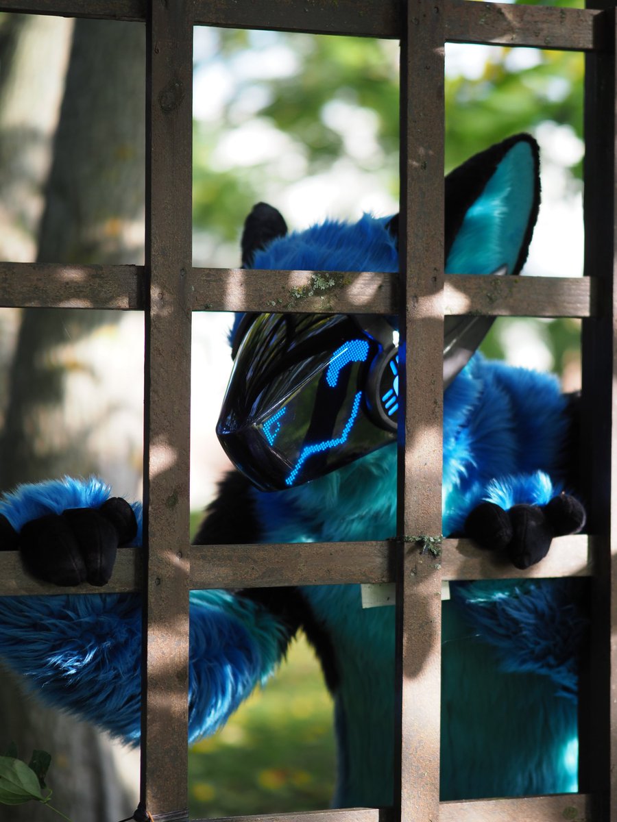 BittiProtogen's tweet photo. It is December 1st so be careful. Bitti is checking whether you have been naughty or nice!

Happy #fursuitfriday 

📸@/matttee_(insta)

#furry #fursuit #protogen https://t.co/XNWYPOnhqd