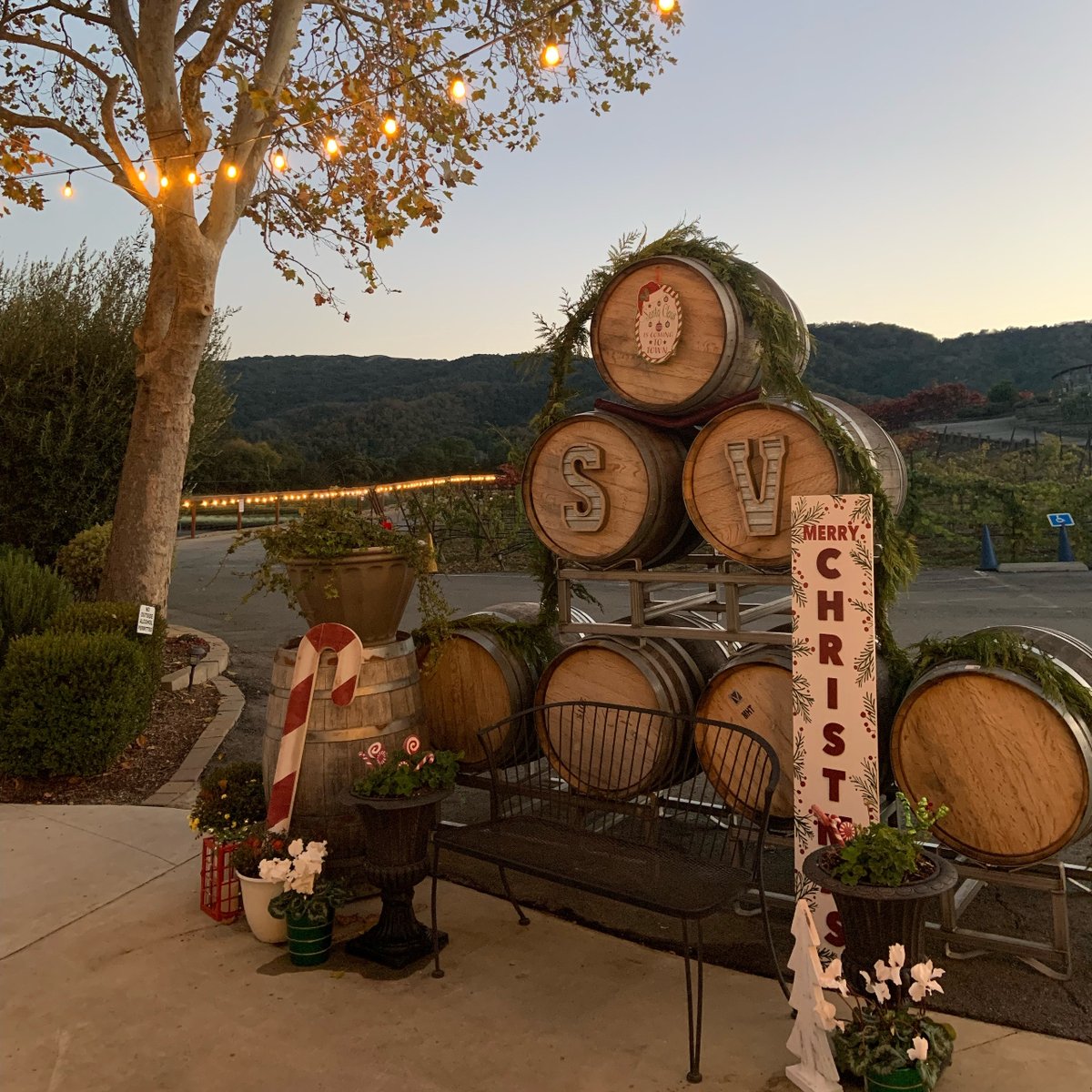 'Tis the season! We are feeling the holiday spirit here at S.V.!