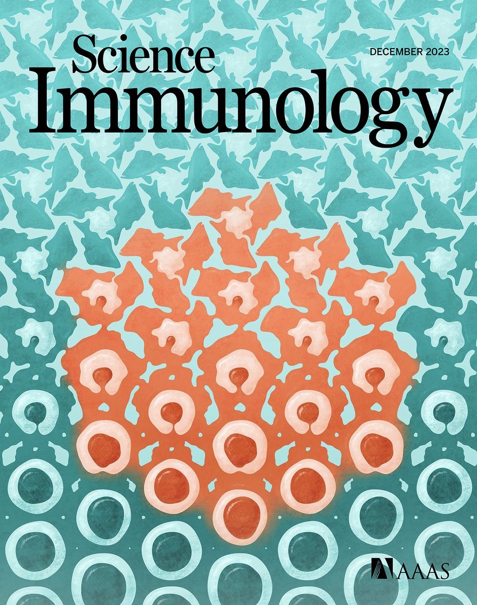 The December issue of @SciImmunology is out! This week features #GerminalCenter-like structures in #fish, how #MAVS signaling puts the breaks on #DC anti-#tumor immunity, & structural principles of #CAR antigen recognition! New content added every week! science.org/toc/sciimmunol…