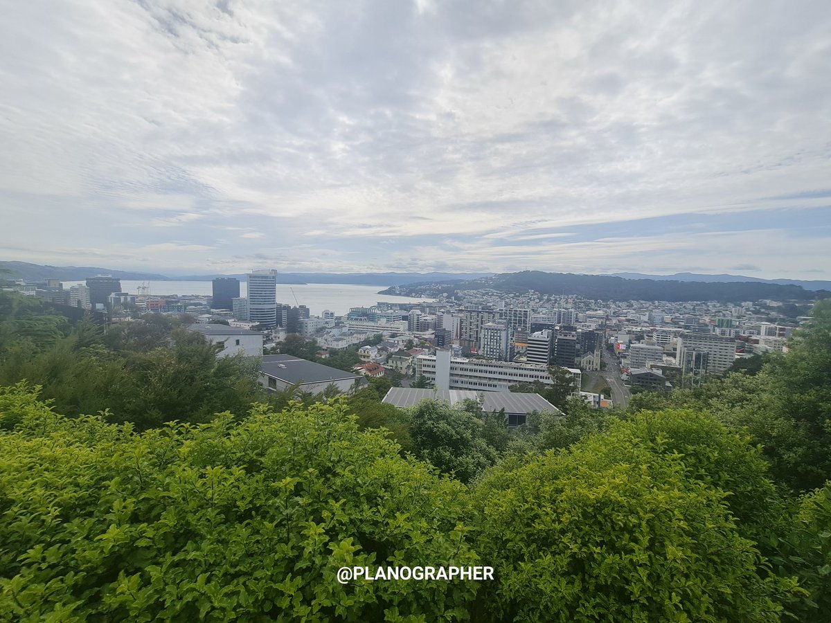 🤘Assoc. Prof. Paul J. Maginn🤘 tweet media