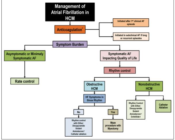 #InDepth: Evolving Contemporary Management of Atrial Fibrillation in Hypertrophic Cardiomyopathy ahajournals.org/doi/10.1161/CI…