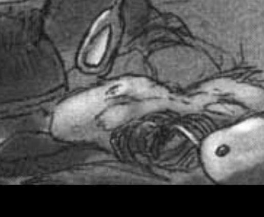 FlatFvck's tweet photo. OH THE HUMANITY!!!! NOT THE FLAT FUCKS!!!! -Ryo https://t.co/UuOcLofbuQ