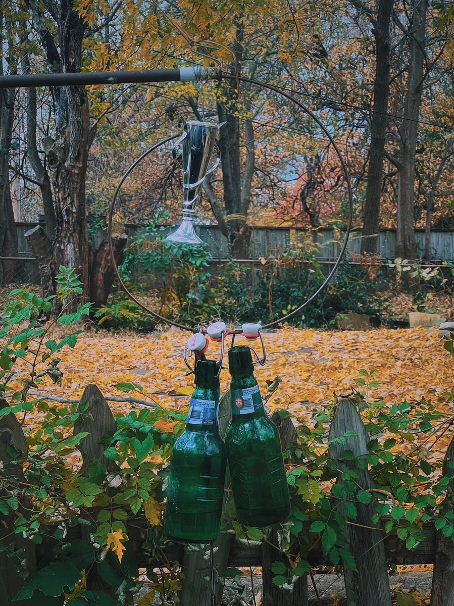 💀𝕹𝖔𝖛𝖊𝖒𝖇𝖊𝖗✨