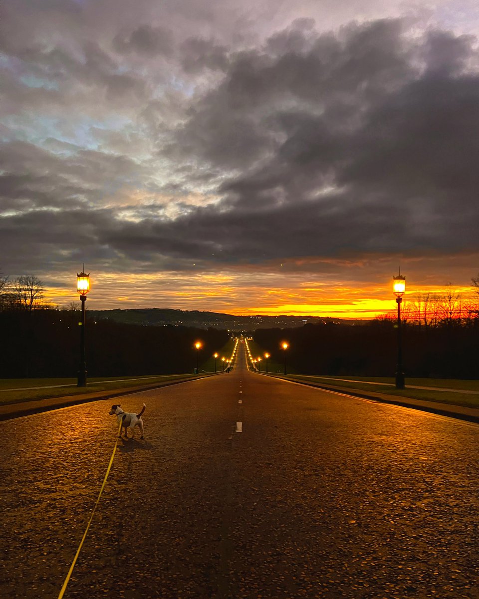 How about we all chip in a quid each, then next time there’s a super icy or snow day, we pay Stormont to close the gates, not put any grit down, agree any injuries are our own fault, and skid down the entire road on tea trays?

Agreed? ⛷️🛷🫖

(Cracker winter sunset tonight 🌇)