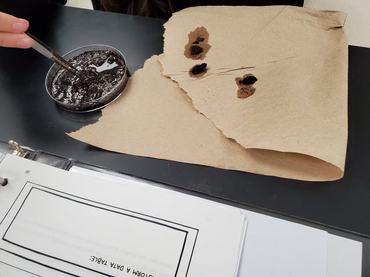 We extracted seeds from elephant "poop" and mud today as part of our Africa NGSS storyline. They designed experiments to see how water influences plant homeostasis. #ngss <a href="/FHSDalers/">FHS Dalers</a>