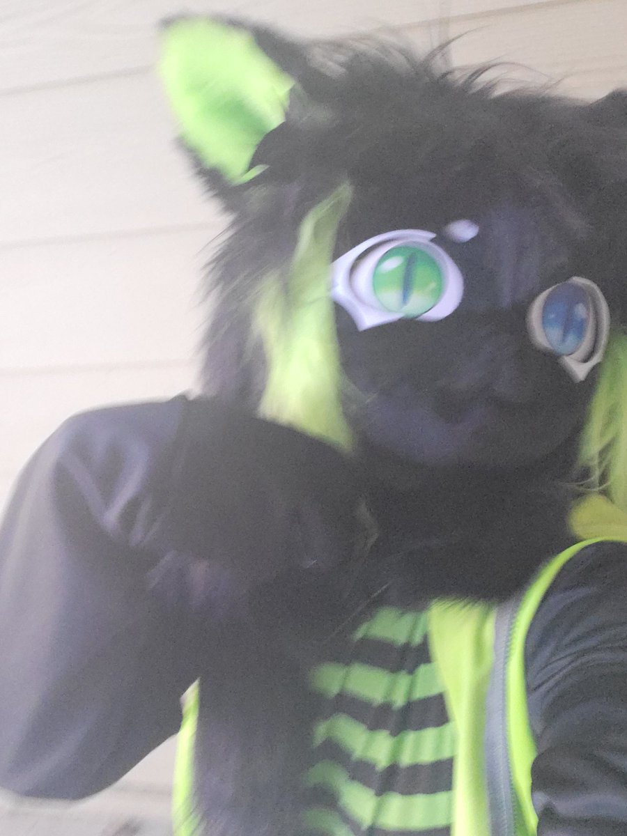 arts_noir's tweet photo. Recently got my first suit head from a maker on etsy! She's adorable and I love her. Now to find a place to wear her to.
#FursuitFriday #fursuit #furry https://t.co/KncGuJsbSh