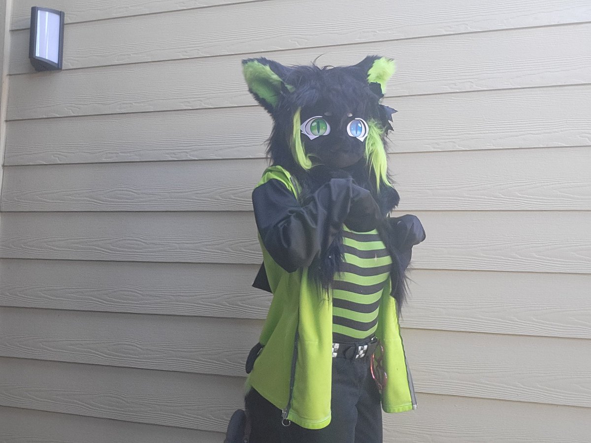 arts_noir's tweet photo. Recently got my first suit head from a maker on etsy! She's adorable and I love her. Now to find a place to wear her to.
#FursuitFriday #fursuit #furry https://t.co/KncGuJsbSh