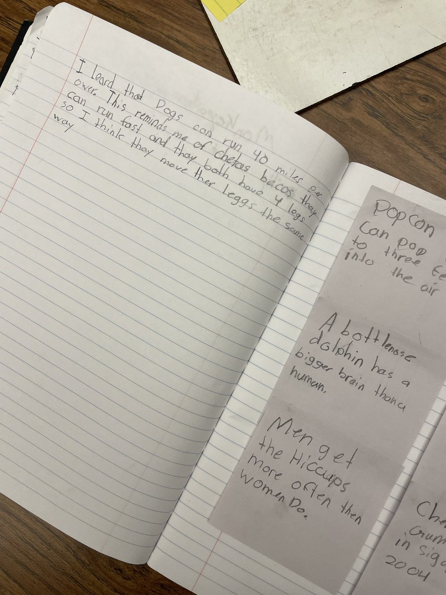 Kari Rowe tweet media