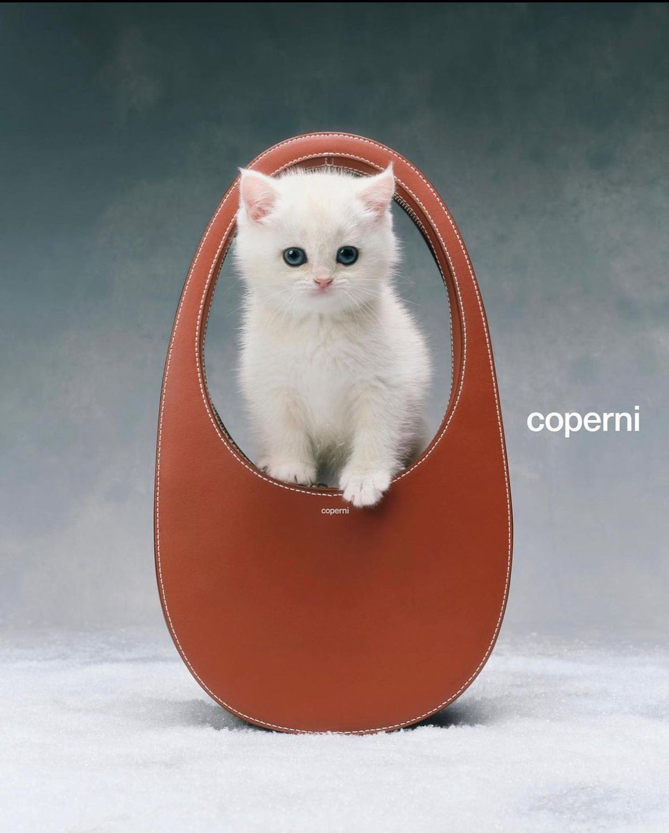 viewsfrance's tweet photo. La campagne de Noël de Coperni 🐈 https://t.co/k63evnCVTg
