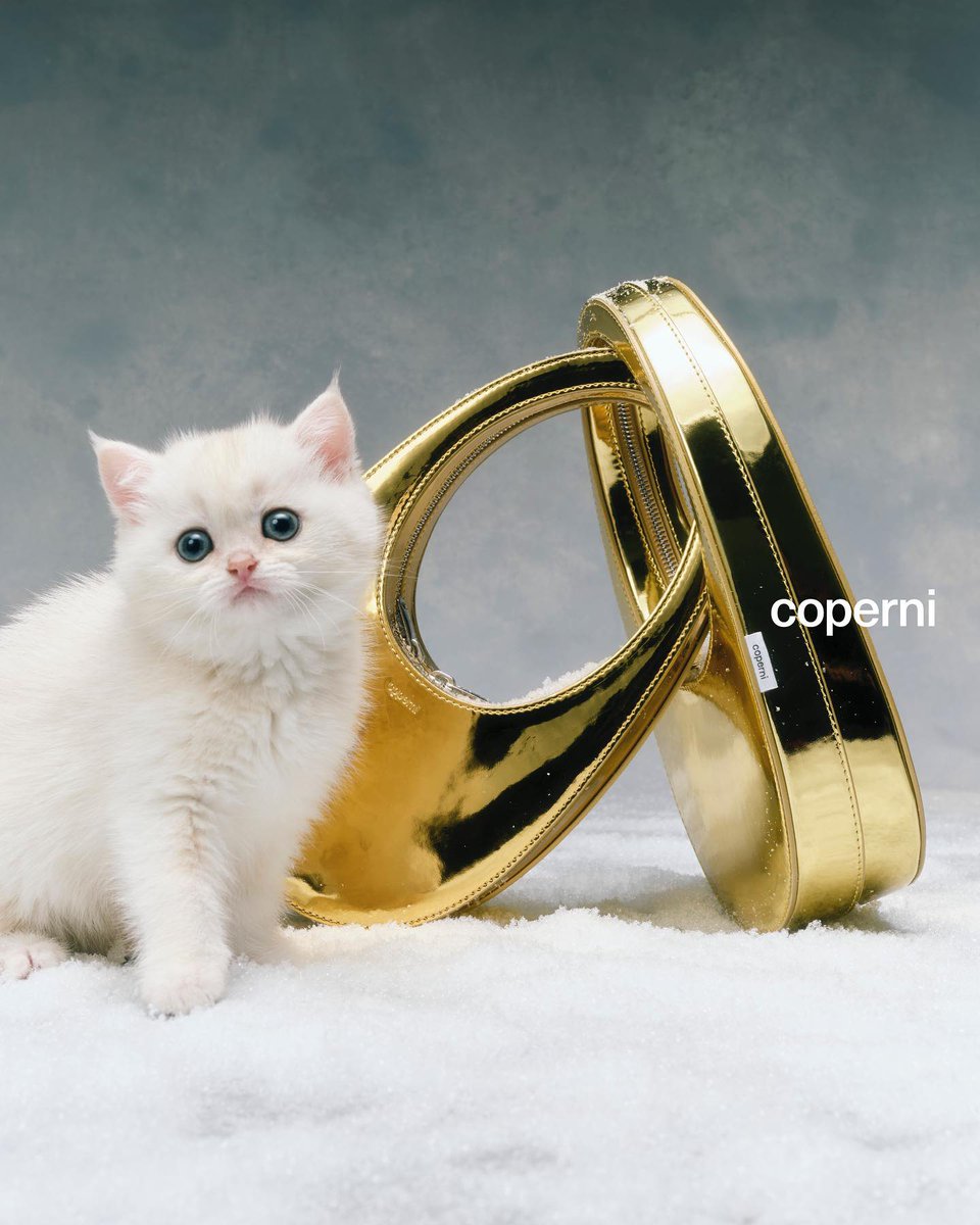 viewsfrance's tweet photo. La campagne de Noël de Coperni 🐈 https://t.co/k63evnCVTg