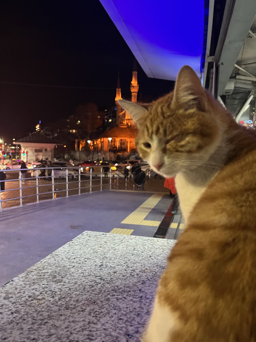 obviouslydoc's tweet photo. Her şehirden geriye ertelenmiş bir heves.. https://t.co/jIUTWTaQvh