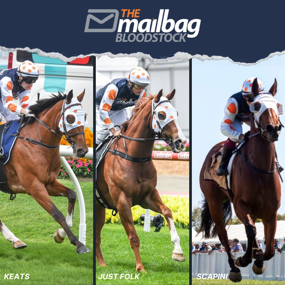 TMBBloodstock's tweet photo. A big day ahead with 3 runners 😎

#JustFolk &amp; #Keats both contest the G3 Eclipse at Caulfield. They are in great order &amp; both will run well 🙏

#Scapini is on the backup at Toowoomba, the same recipe for success as she broke her maiden dominantly 🤞

Good luck to the owners! 💪 https://t.co/dzYu8hOD7d