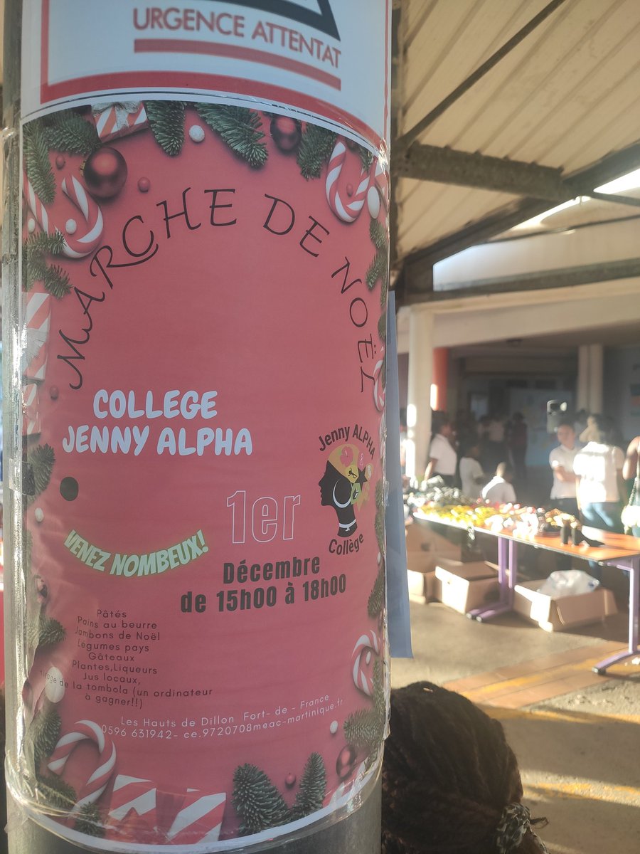 Collège Jenny ALPHA Dillon 2 tweet media