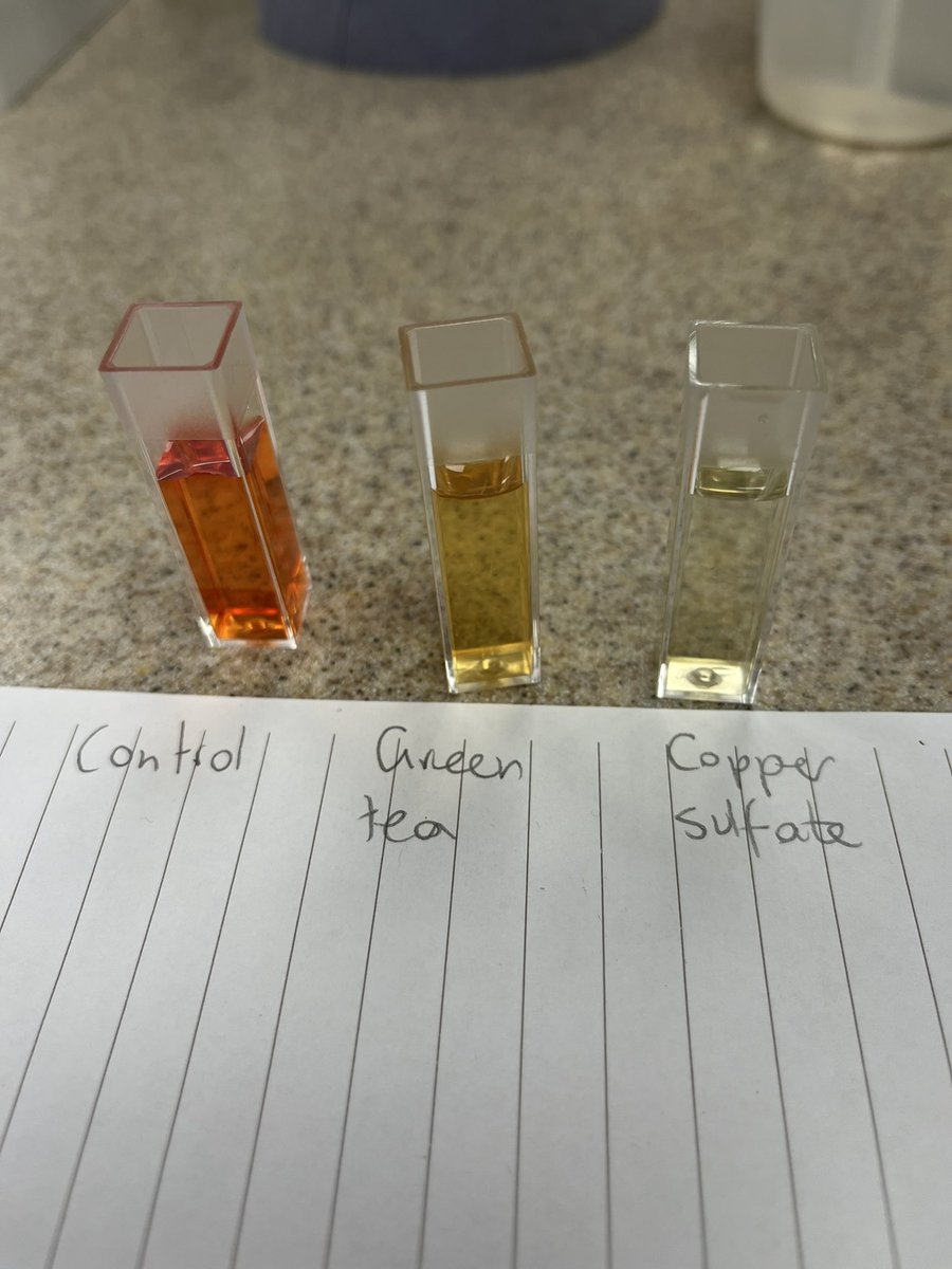 Ms Diamond tweet media