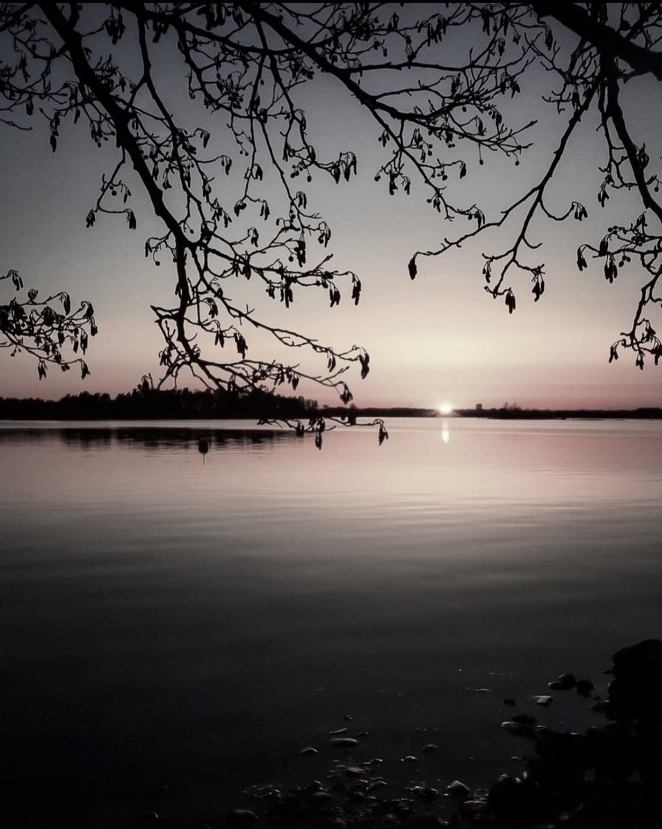 Sakis foto tweet media