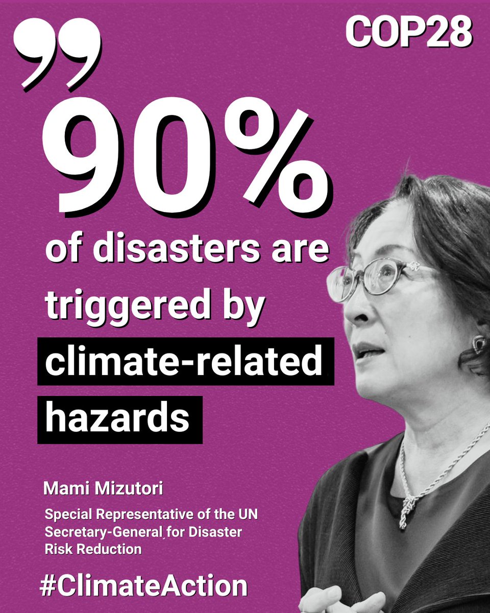 UNDRR tweet media