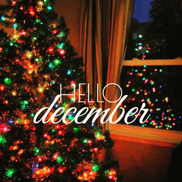 DeeDeeDiamond7's tweet photo. โจ๏ธ#hellodecember โจ๏ธ๐ค
#chapter12of12 #merrychristmas โ๏ธโ๏ธ๐๐๐๐ฅณ๐ https://t.co/RdG0FJzDsH