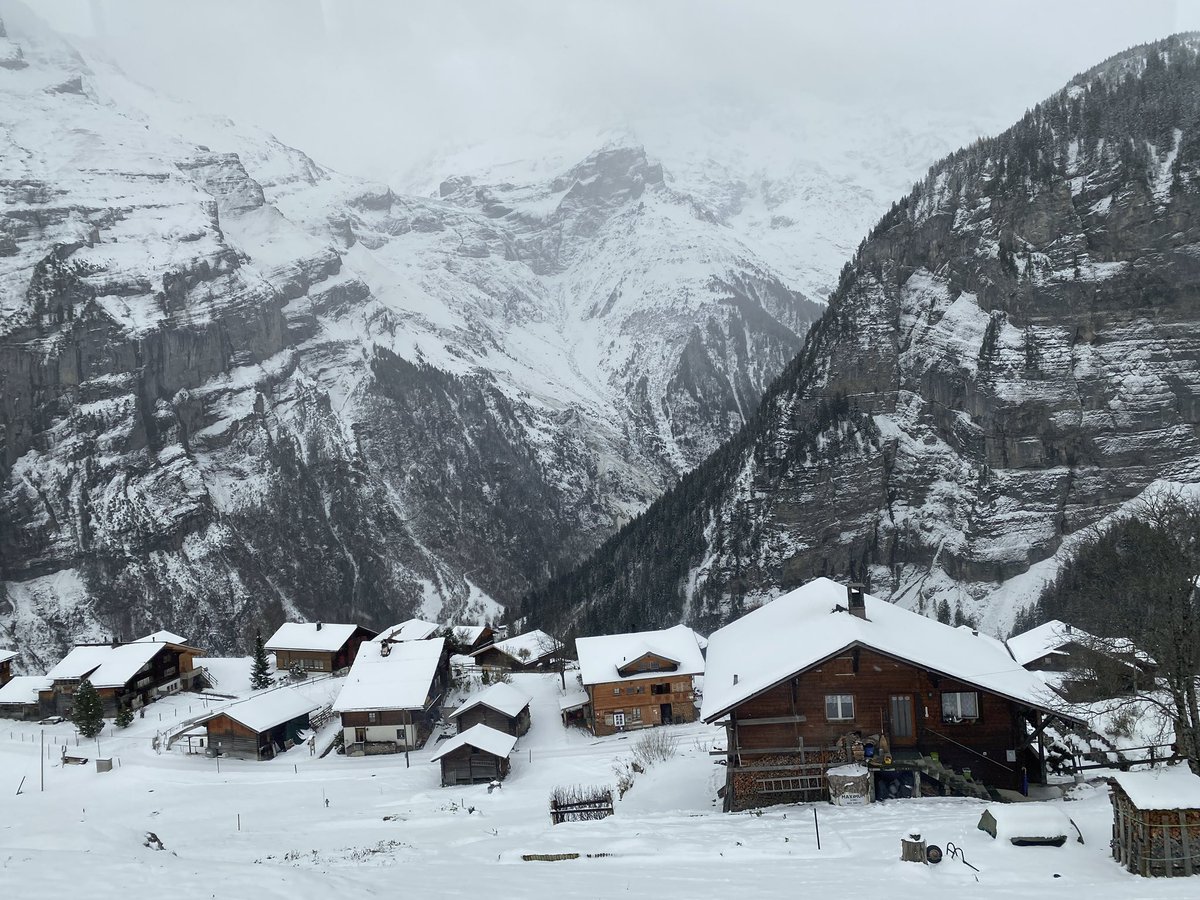 Andy Feldman tweet media