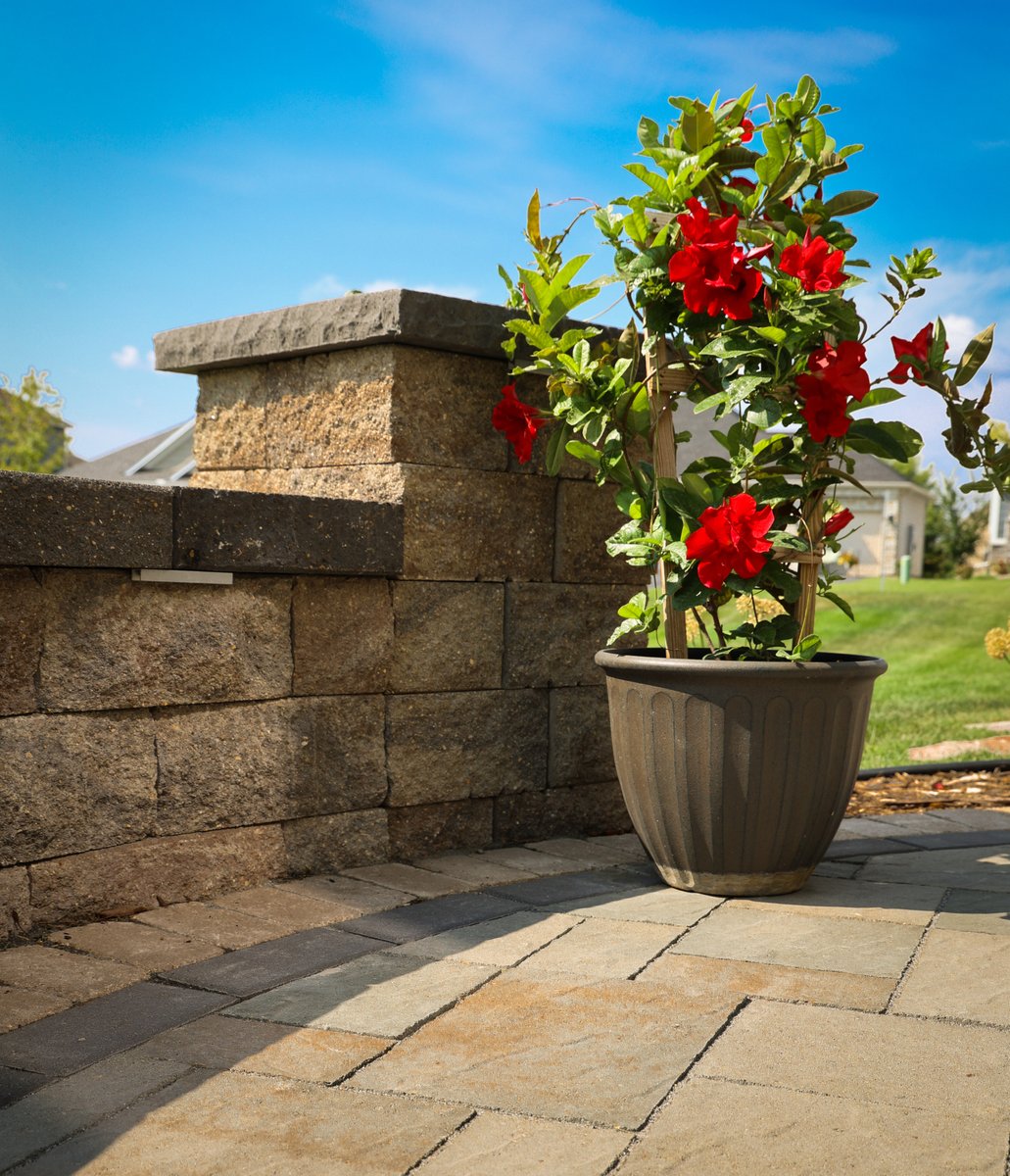 Patio Town tweet media