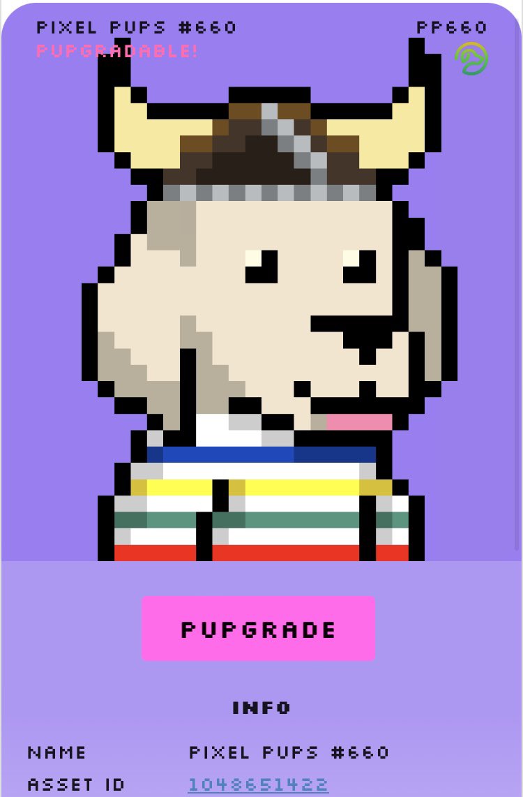 JiminyJunk's tweet photo. Happy Pupgrade Day !

@PyreneesPack congrats on a successful launch of the Good Bois ! 

@Jorge_algo it was worth the wait ! Fantastic job ! 🎉

#Algorand #AlgorandNFTs 
#PyreneesPack #Pupgrade #GoodBois https://t.co/6e73PCxSCq
