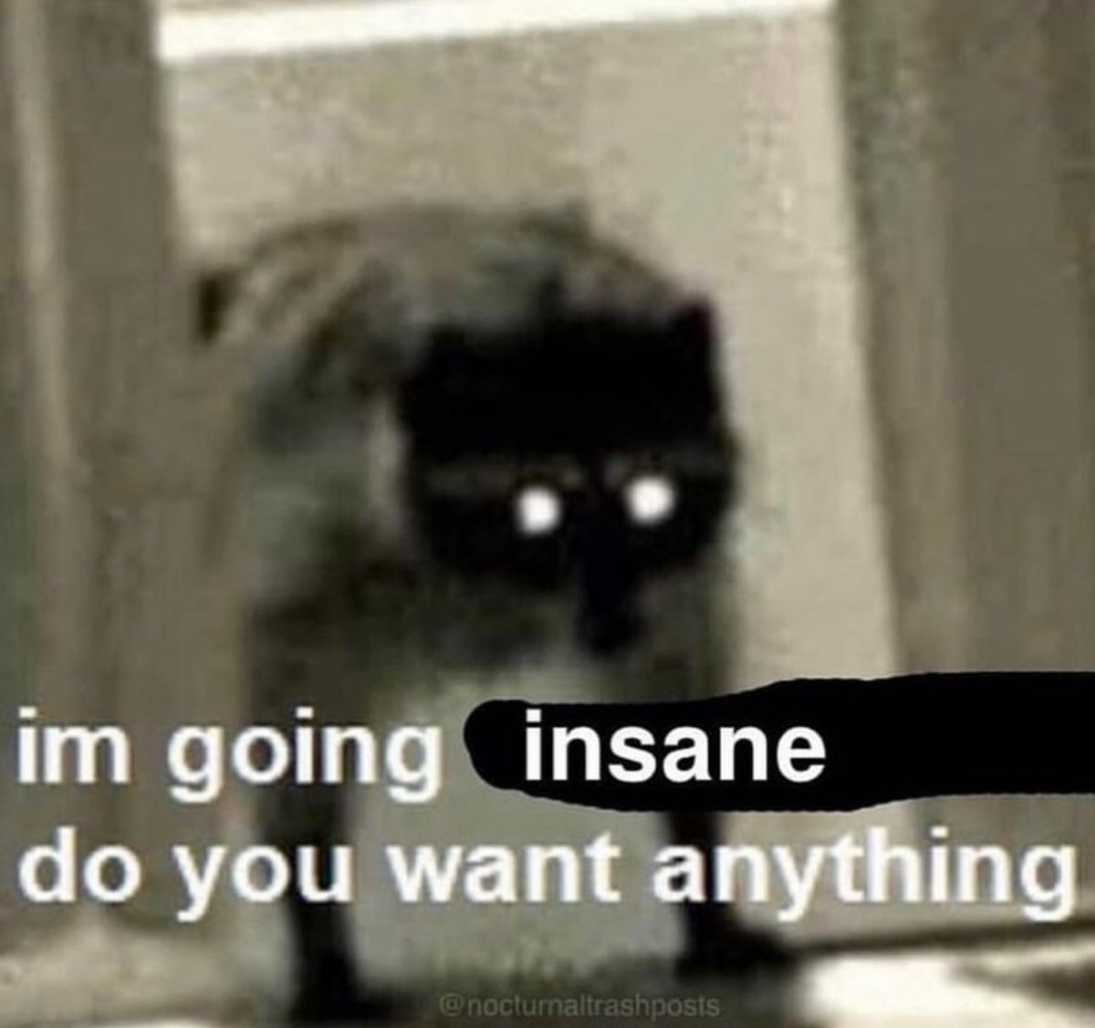 no context memes (@weirddalle) on Twitter photo 