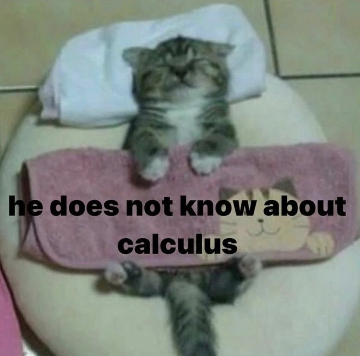 PostsOfCats's tweet photo. https://t.co/d5DrrN8gnL