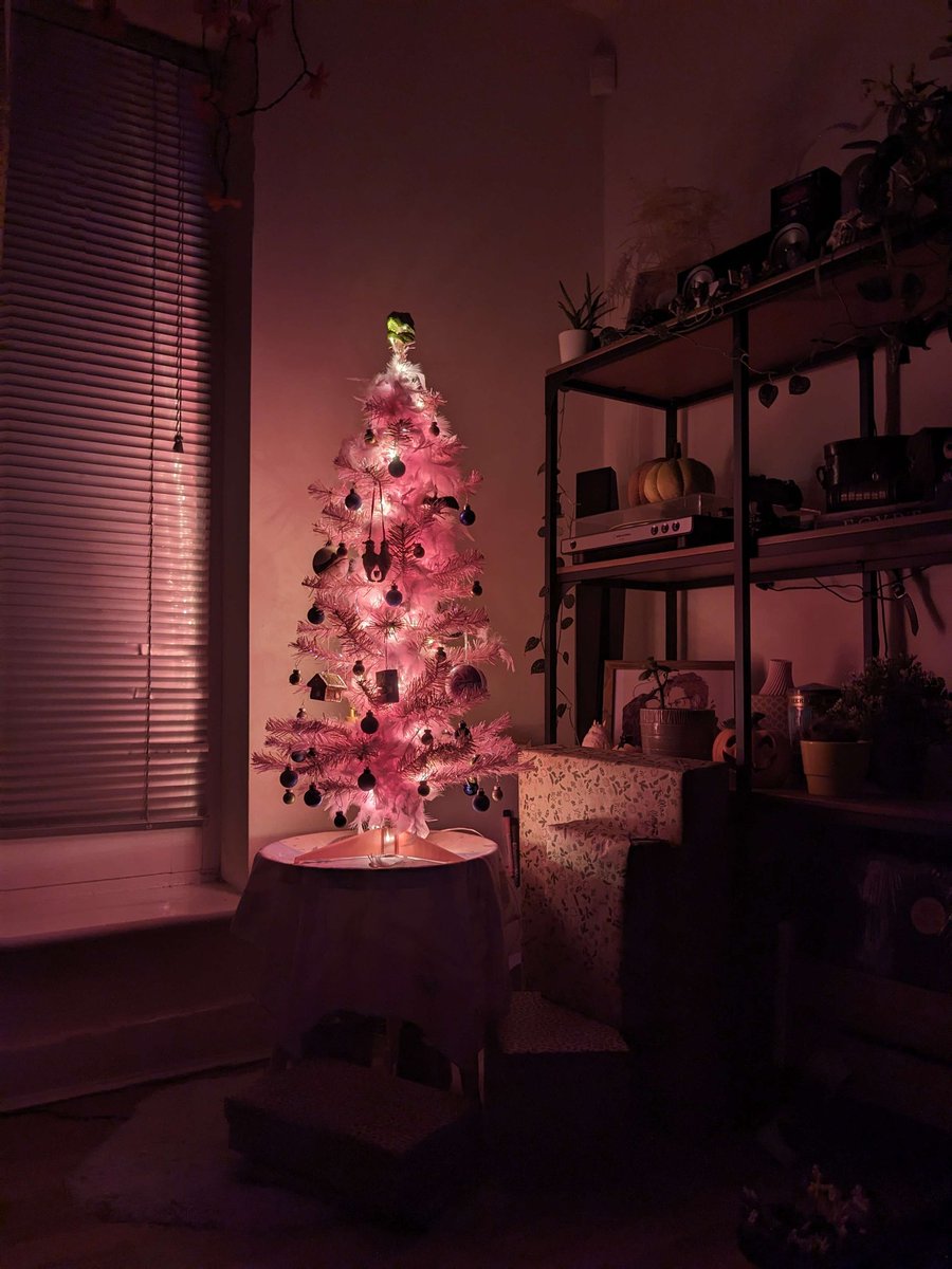 DidiBash's tweet photo. 🌸 🎄💕 https://t.co/AoSZLNK4hW