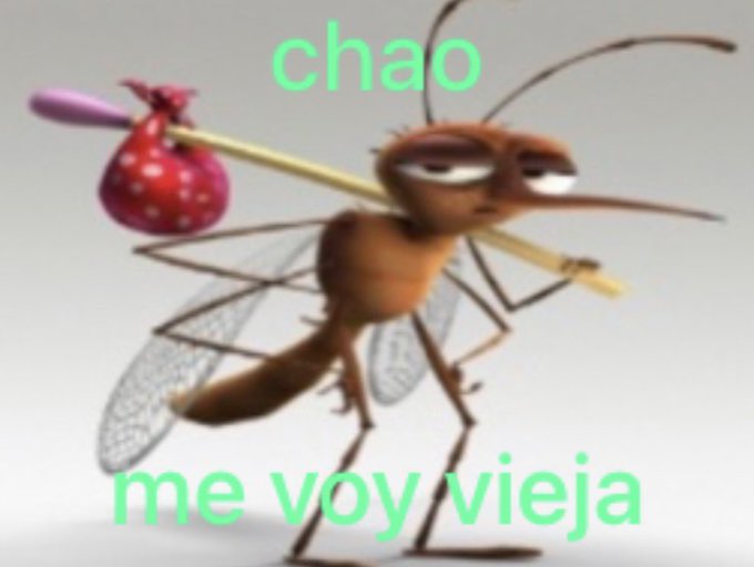 nosotros yendo nos de Argentina a penas terminamos 6to