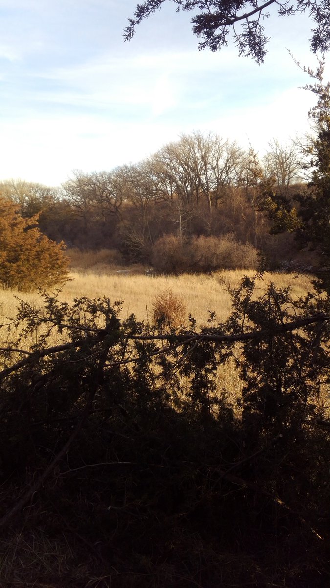 buckstop3006's tweet photo. Could be worse ways to spend the afternoon. #Muzzleloaderhunt https://t.co/fInTSkrGK3