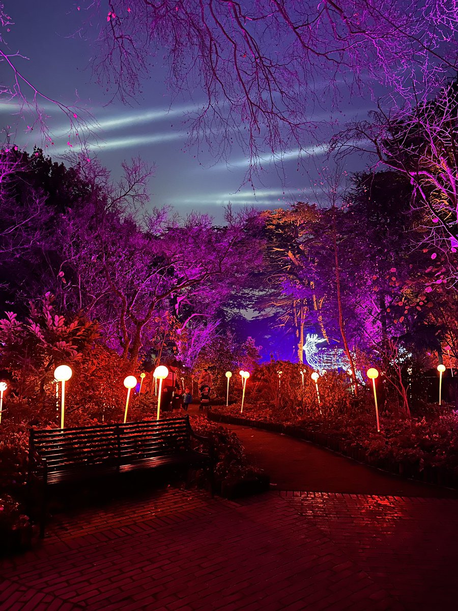 Went to Christmas at Wollaton tonight during the #SavingSessions. 👏 <a href="/OctopusEnergy/">Octopus Energy</a>