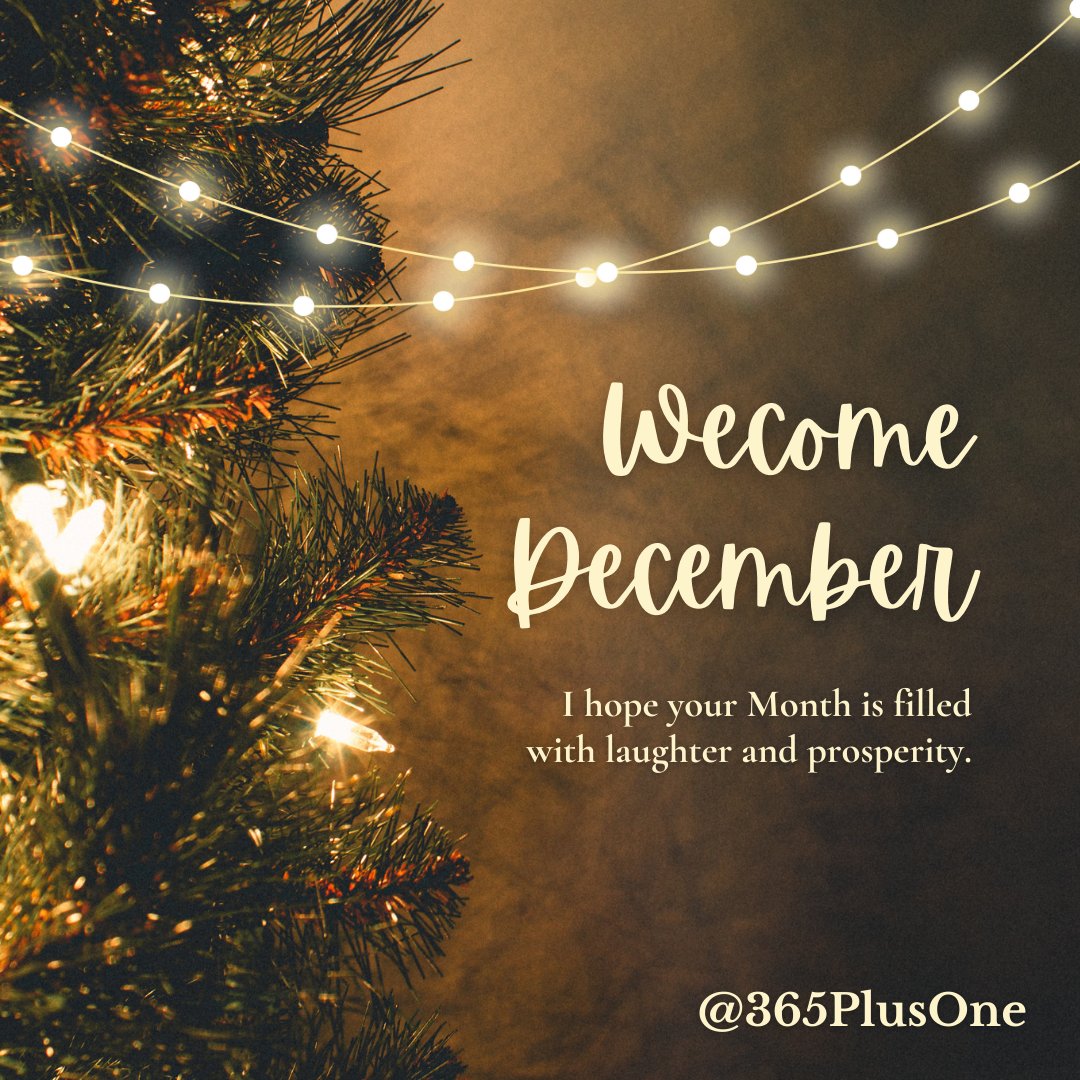 365PlusOne's tweet image. #Welcome December