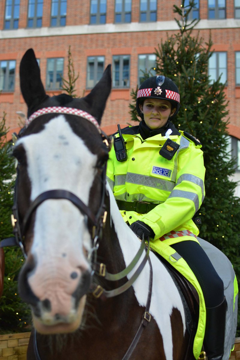 CityPolice's tweet photo. Mounted Branch @CityHorses out on patrol in the City and showing their support for @WhiteRibbon_UK.

Find out about how we're tackling violence against women and girls at https://t.co/zwvPGGxyg6 https://t.co/1QIJDMOtvC