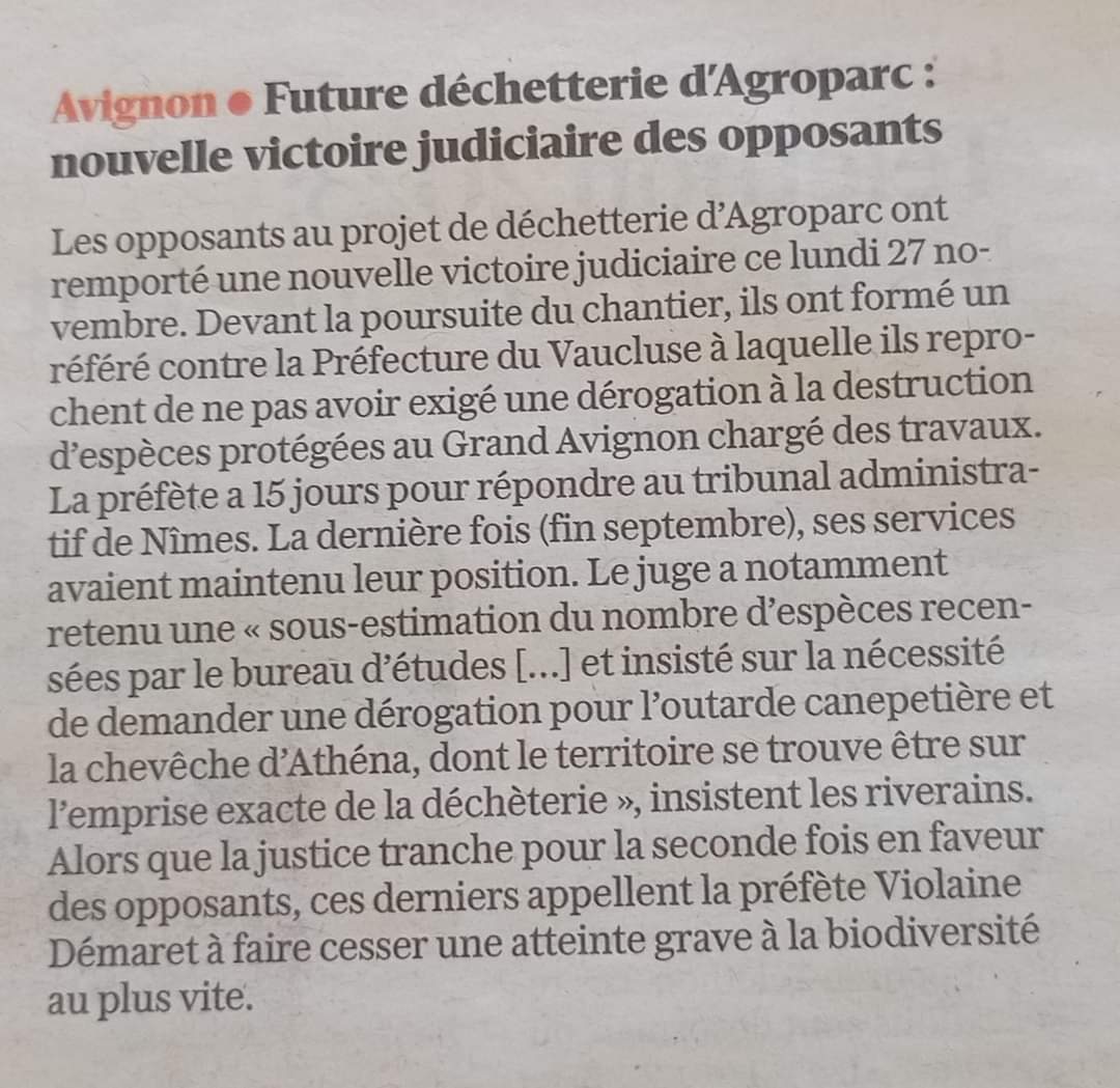 M.Cervantes et son groupe écologie,soutiennent ils ce projet écocide à Agroparc?Je n'ai pas entendu quoi que ce soit ce samedi au Conseil Municipal au moment du rapport de Mme Portefaix?
#Avignon
#Villesetvillagesfleuris 
#LabelTerritoireengagépourlanature #LabelTerritoireDurable