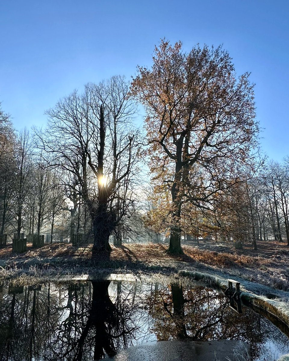 InsightUpNorth's tweet photo. The little lake at @DunhamMasseyNT #dailydoseofnature #365dayswild #wellbeing #nature #therapy #outdoors #mindfulness #naturephotography #therapistsconnect #therapistscreate #WinterVibes #selfcare #mentalhealth #health https://t.co/Q21UH0vhV8