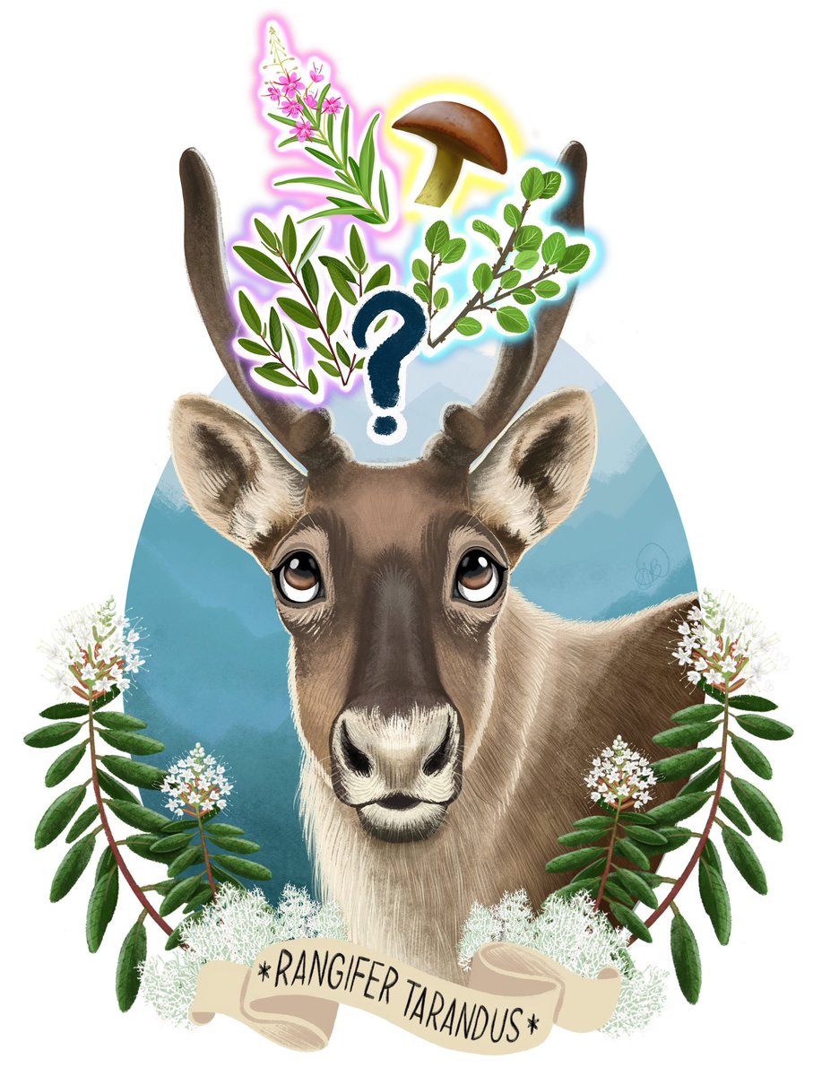 Ever wondered what the female migratory caribou in Quebec select as feeding sites and as food resources in summer?! 🤔

Read our new article to find out! 😊😁

journals.plos.org/plosone/articl…