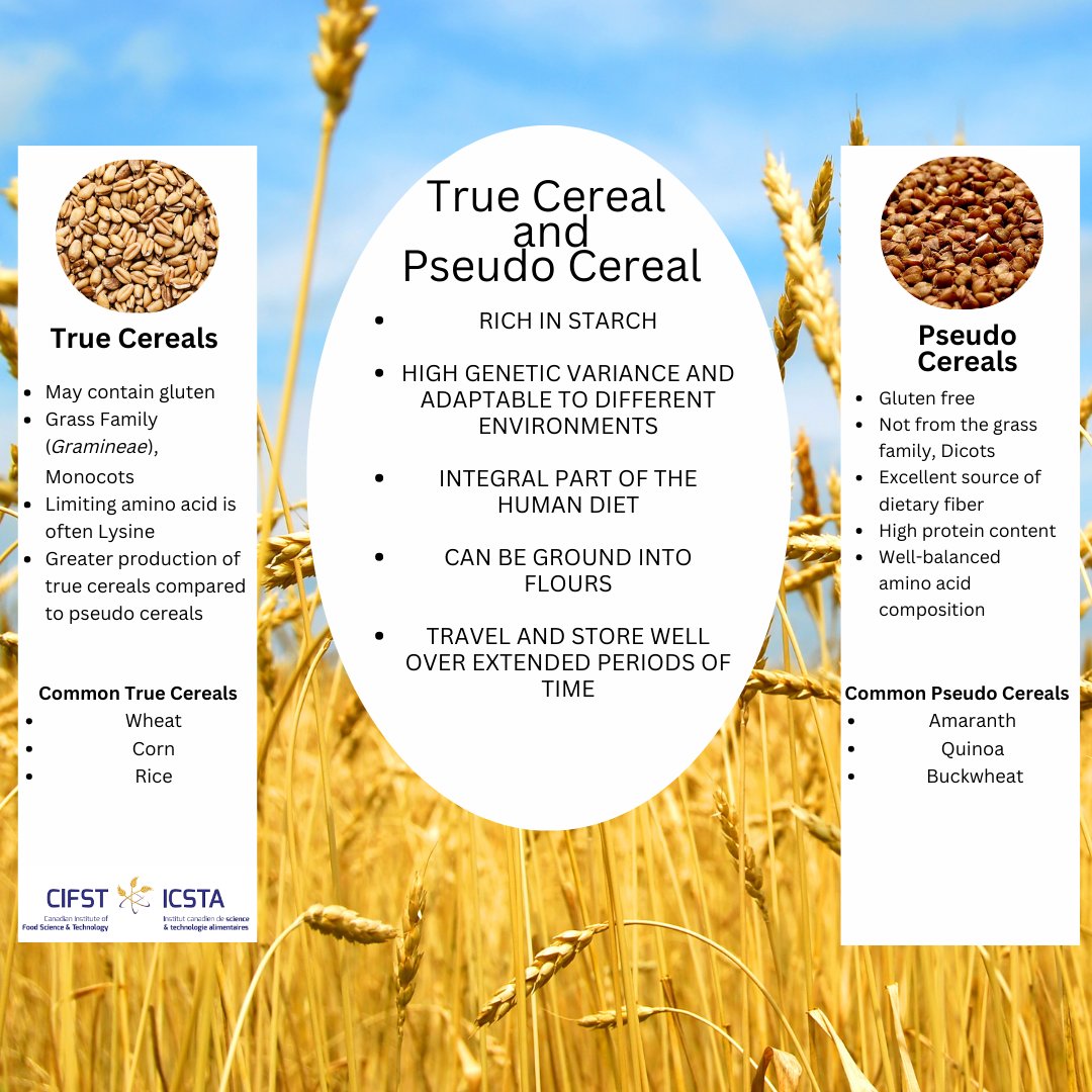 CIFST Students tweet media